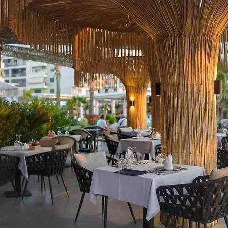 By Comfort Golem (Tirana)